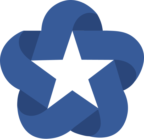 Logo skyfin